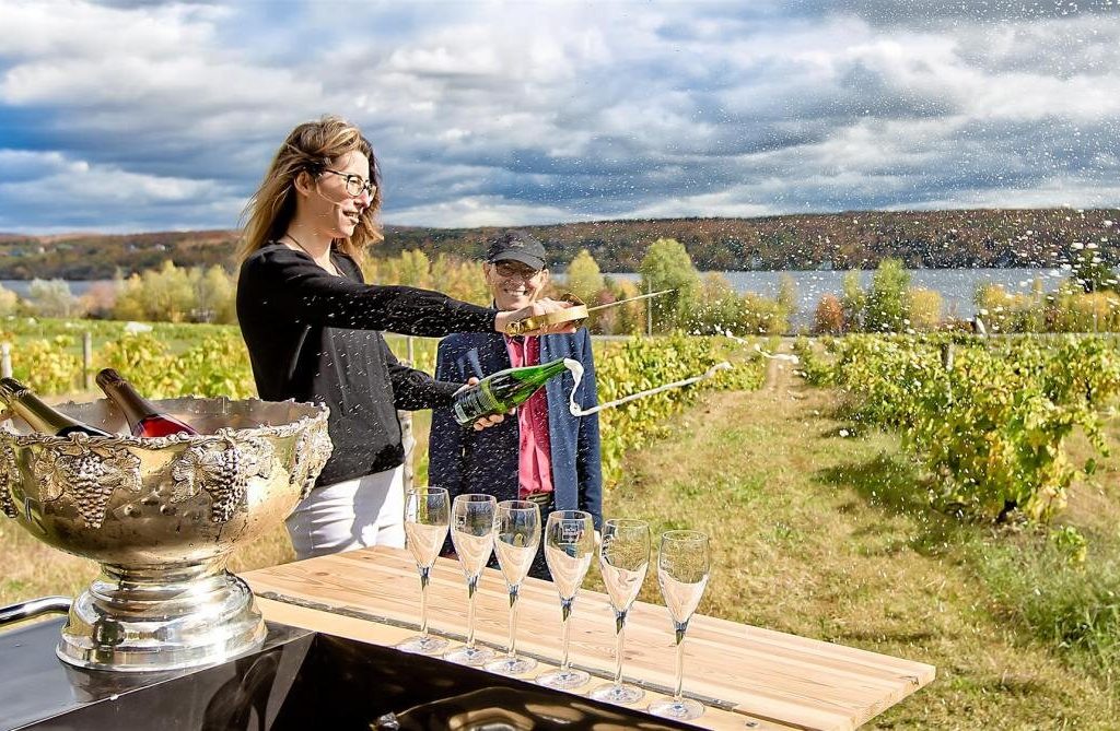 Le Cep d'argent - condos à louer
